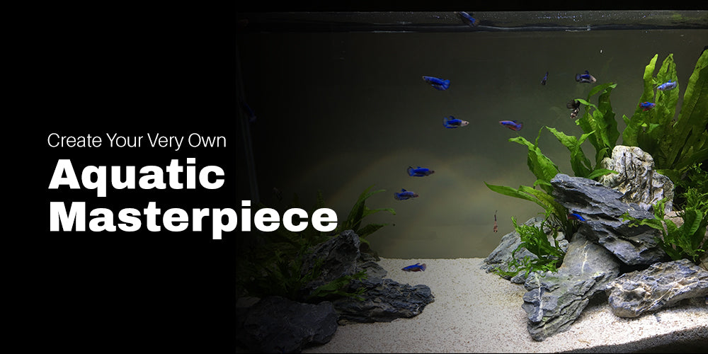 Creating a Stunning Aquascape: Design Ideas and Inspiration
