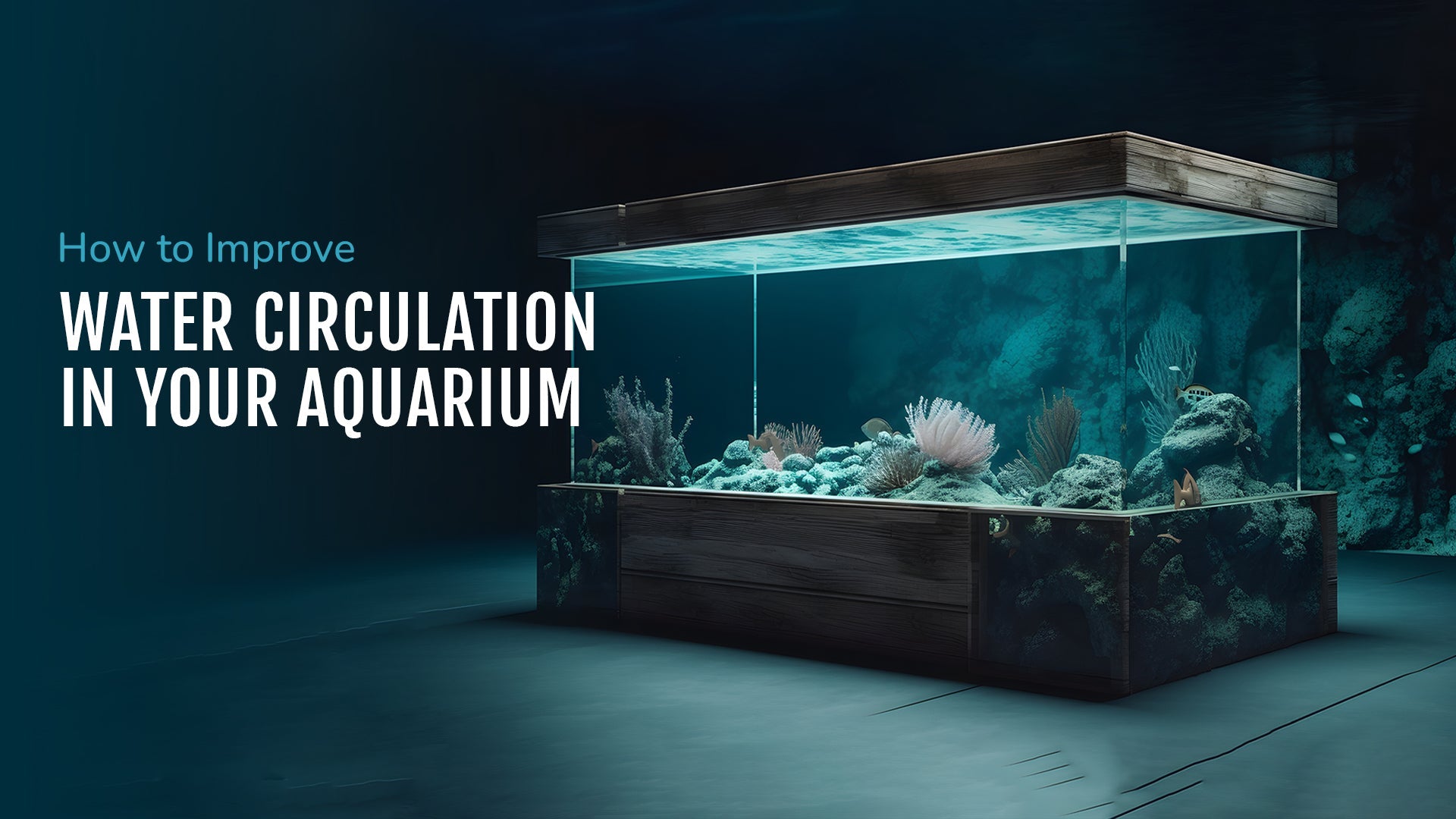 How to Improve Water Circulation in Your Aquarium: A Beginner's Guide