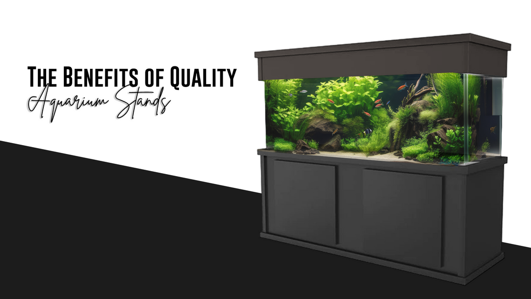 The Importance of a Sturdy Aquarium Stand for Your Fish Tank