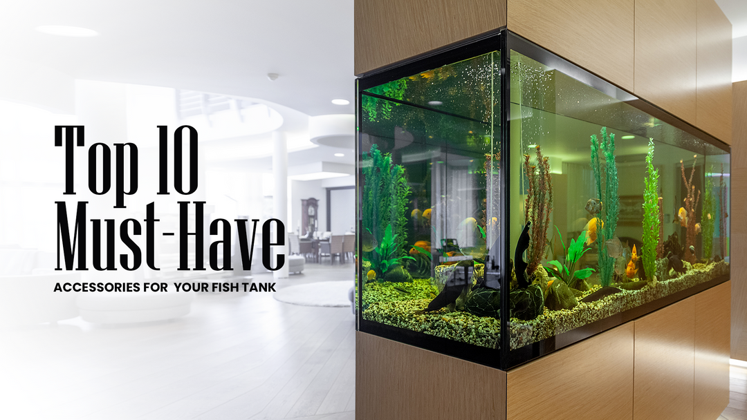 Top 10 Must-Have Accessories for Your Fish Tank