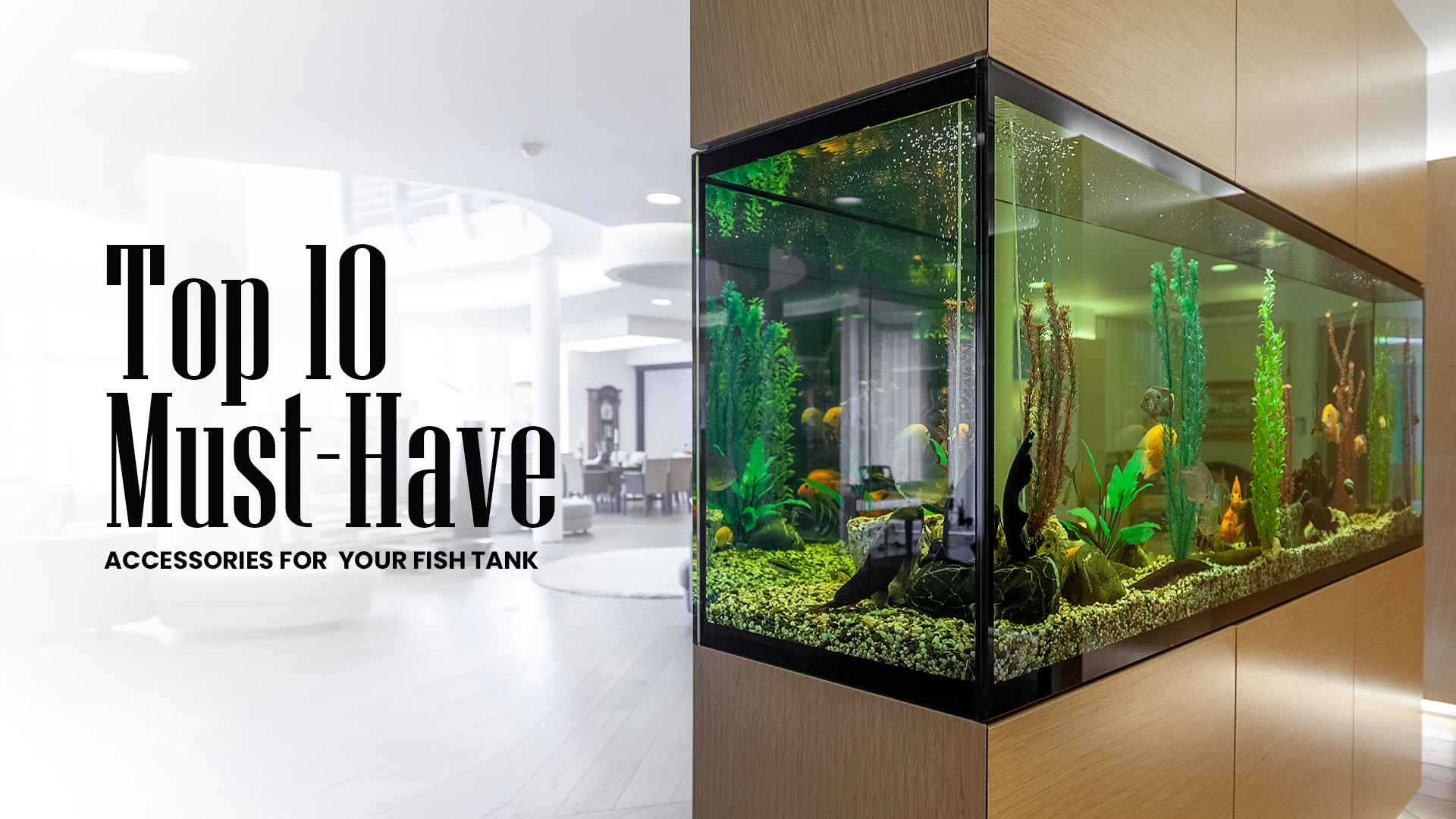 Top 10 Must-Have Accessories for Your Fish Tank  TRUVU Aquariums
