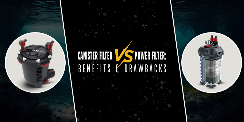 Canister Filter vs Power Filter: Benefits & Drawbacks