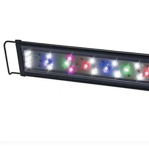 Lifegard Freshwater Planted Tank LED - TRUVU Aquariums