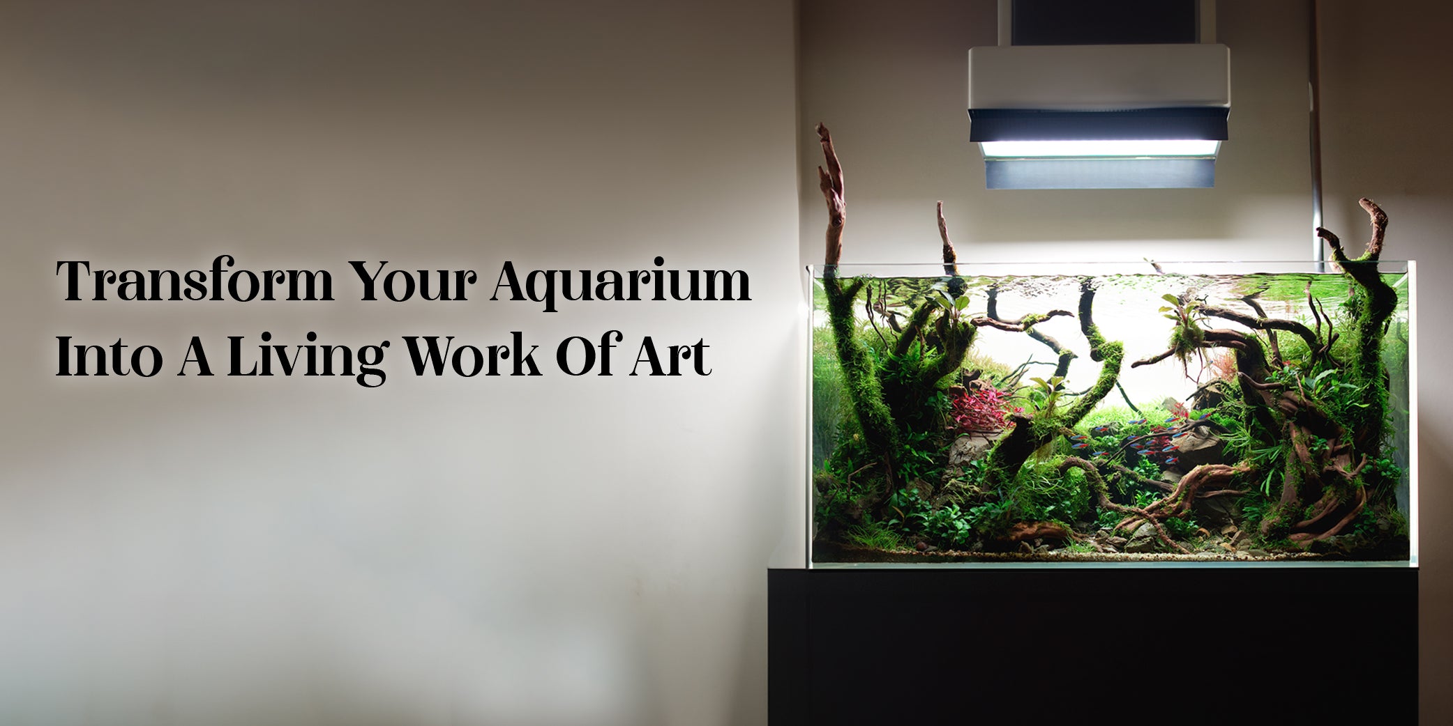 What Is In Your Aquarium That Makes It Unique? | TRUVU Aquariums