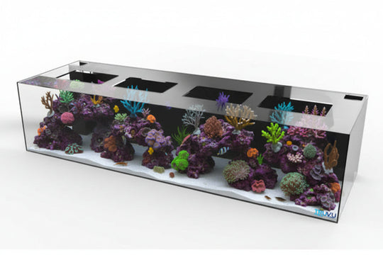Saltwater Aquarium | TRUVU Aquariums