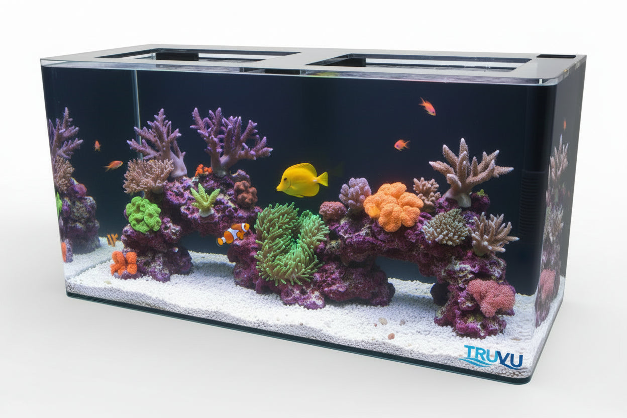 TRUVU 75 Gallon Saltwater Fish Tank